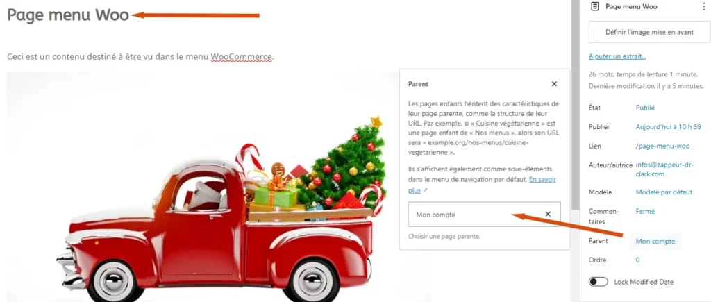 Lien personnalisé dans le menu WooCommerce exemple 3